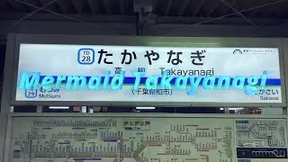 Mermaid Takayanagi