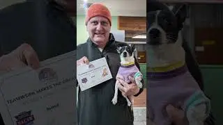 Dog Scent Work 2025 | Mantrailing, K9 Nose Work & Free Work