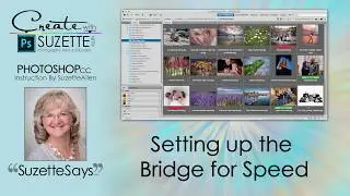 Set-up Bridge Workspace