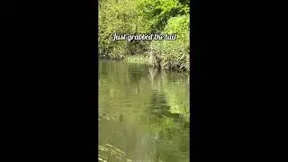Fishing a unweighted wedge head streamer ~ flyfishing for trout #streamerfishing  #flyfishing