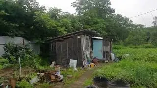 VID 20220718 093933