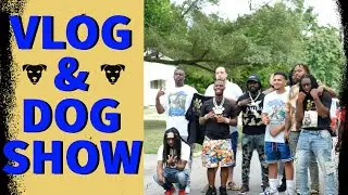 Top Dollar Kennels Flint: Michigan Vlog & Dog Show