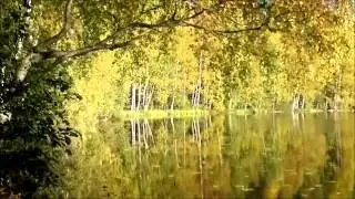 மலேசிய தமிழ் வாழ்த்து.wmv