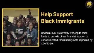 UndocuBlack Convening'20
