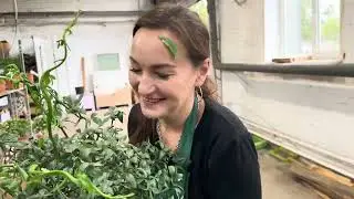 Новая поставка из Оскар Тинтори