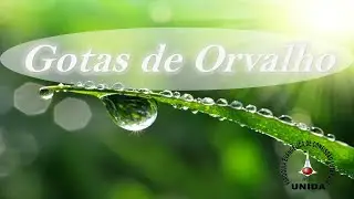 Dewdrops - January 5, 2026 - DAILY MEDITATIONS