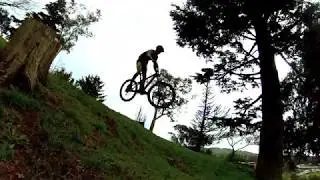 WHEELIFE - RAINBOW RIDE