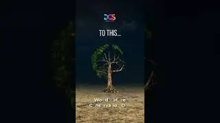 World Nature Conservation Day
