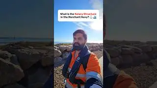 What is the salary structure in the Merchant Navy?⚓️🛳 #merchantnavy #ship #officer #youtubeshorts