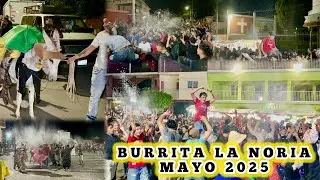 BURRITA LA NORIA GUANAJUATO MAYO 2025 chulada de ambiente el que se armó