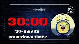30 Minute Silent Countdown Timer | With End Alarm | Music Practice,Focus,Study,Workout,Meditation