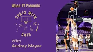 Chats with Cats: Audrey Meyers Interview