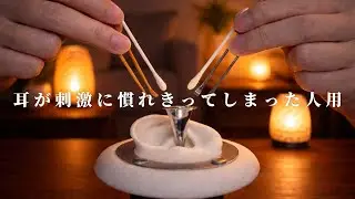 ASMR Illegal Level Tingles | Deep Ear Cleaning (No Talking)