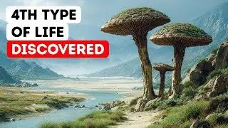 Ancient Life Forms That Don&rsquo;t Belong Anywhere on the Tree of Life