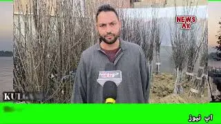 Qaimoh, Kulgam: Nurseries &mdash; A Symbol of Employment and Development.