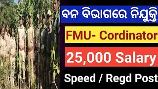 ବନ ବିଭାଗରେ ନିଯୁକ୍ତି ! FMU Cordinator Job 2023 ! Baripada Forest Division Job ! Job Vacancy 2023