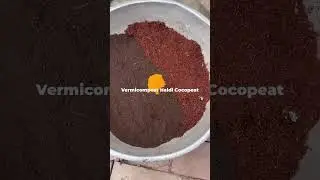 Making Perfect Potting Mix for New Seedlings | Easy Homemade Soil Mix 🌱