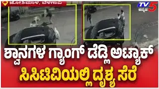 Belagavi Dog Attack | ನಾಯಿಗಳ ಡೆಡ್ಲಿ ಅಟ್ಯಾಕ್ ಕುಟುಂಬ ಸದಸ್ಯರು ಜಸ್ಟ್​​ಮಿಸ್​​ | TV5 Kannada
