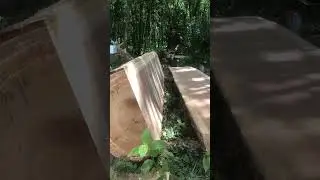 Wonderful Chainsaw Skills!