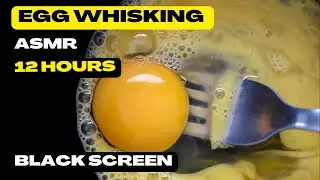EGG WHISKING ASMR 🥚 12 HOURS | BLACK SCREEN | RELAXING WHITE NOISE FOR SLEEP, FOCUS & RELAX