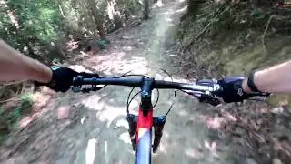 Old Fort Gate Way Trails - Forager, Jarret's Run, Gateway (Old Fort, NC)