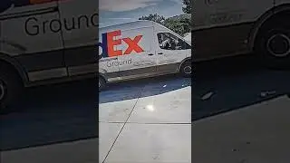 Dog Makes FedEx Driver Dive Through Window