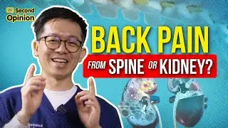 BACK PAIN: SPINE PROBLEMS OR KIDNEY ISSUES? KNOW THE SIGNS | DR TONY SETIOBUDI