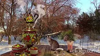 Funniest Cats Winter Videos 😅 - Best Funny Animal Videos 2022 😜👌 #8bitthug