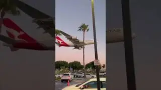 The In-N-Out in LA with the best views! 😍🌴🛬 Credit 🎥 ⁠@jaspreettravels #losangeles #lax #mysecretla⁠