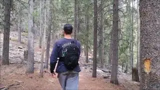 Staunton State Park, Colorado