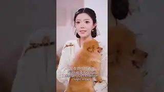 The Beastmaster Boss They called her a fake pet psychic, until a pet exposed a killer on live stream