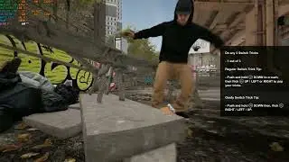 TEST GAME SESSION SKATE SIM
