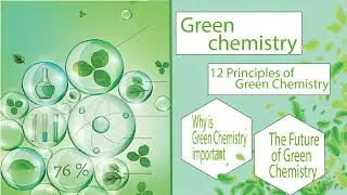 Green Chemistry | The Future of Sustainable Science | 12 principle of green chemistry