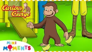 A Day on the Farm! 🐤 | Curious George | Mini Moments