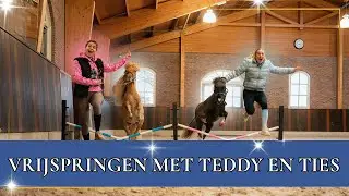 Teddy & Ties gaan vrijspringen! | PaardenpraatTV