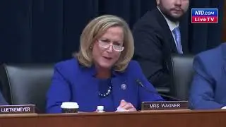 Rep. Wagner to SVB CEO over Crash: 