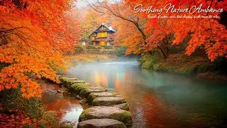 Relaxing Nature Sounds🌿Tranquil Japanese Forest River + Morning Ambience with Calming Music