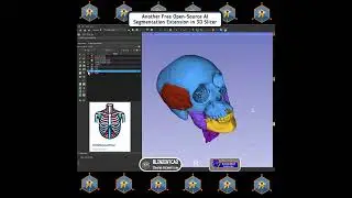 MONAIAuto3DSeg Artifical Intelligence Extension in 3D Slicer Segmentation