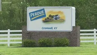 COVID-19 testing underway at Perdue processing plant in Kentucky
