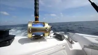 Big Game Fishing in Phuket