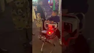 Chinese little boy rides walking robot dog on street, wowing passers-by
