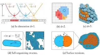 Optimal transport for cell simulations - Antoine Diez - Shape seminar