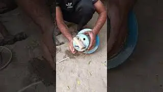 How to Repair an Electric Pool Skimmer | Easy DIY Fix for Common Problems part 5
