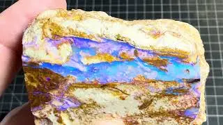 Nice Rough Koroit Opalized Wood!