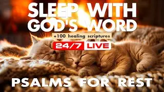🐈 Sleeping Kittens by Fireplace 24/7 | 📖 Scripture Reading & Fire Sounds