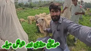 Price update from the animal market of Ajk 17 July 2024 #animals
