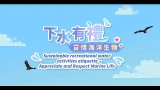 Sustainable recreational water activities etiquette - Appreciate and Respect Marine Life