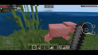 i just try to play Minecraft trial because i can't buy original Minecraft