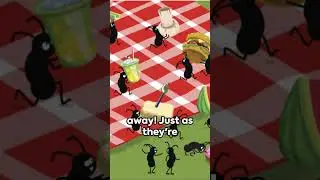 Crocodile Dundee's Wild Barbie #adventure #funnyshorts #crocodiledundee #sharks #barbie #australia