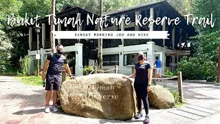 Bukit Timah Nature Reserve Trail - Highest Peak in Singapore | WalterNei
